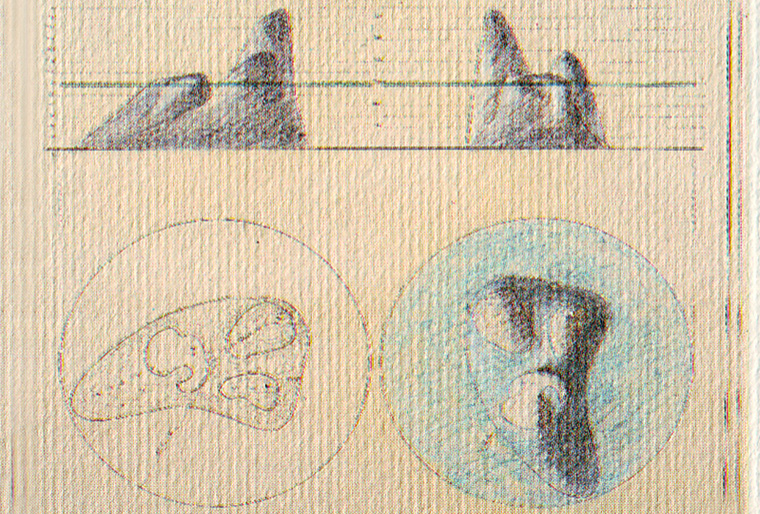 Arcipelago di Alessandro Anselmi